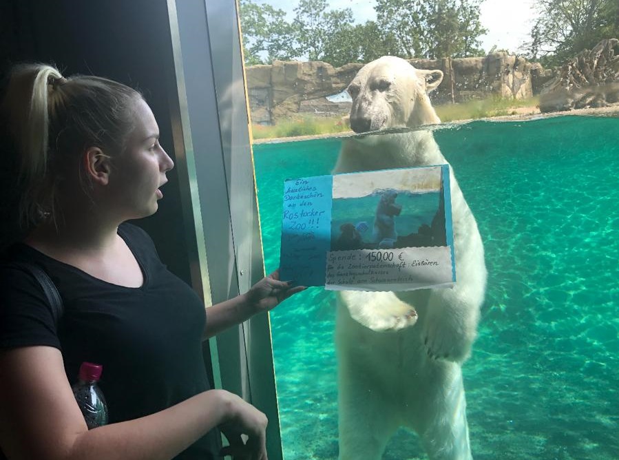IMG-20190618-WA0005